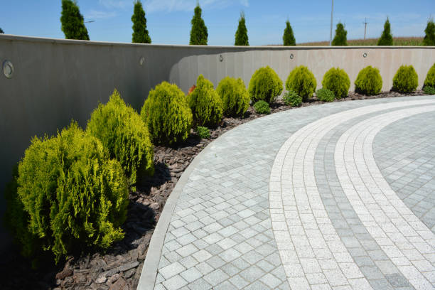 Best Local Driveway Pavers  in Lovejoy, GA